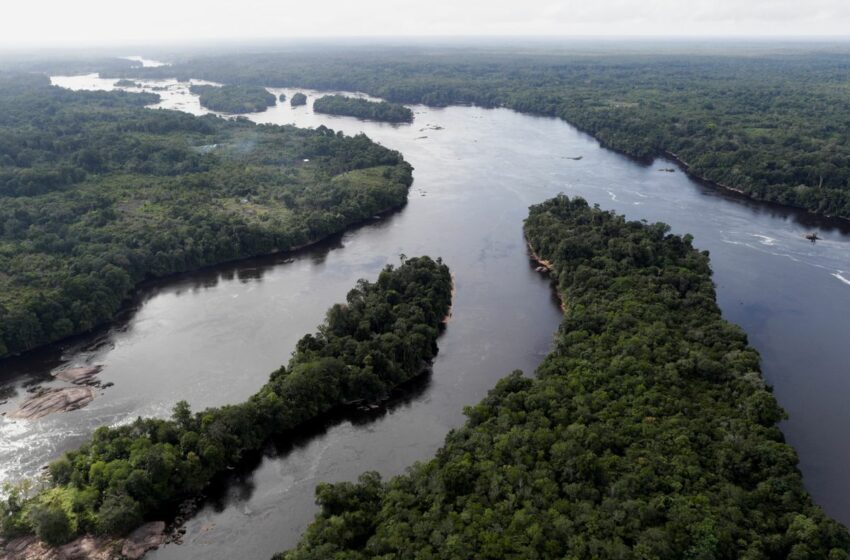  Brasil se olvida de la COP26 y abre la puerta a la minería ilegal en la Amazonia – El País