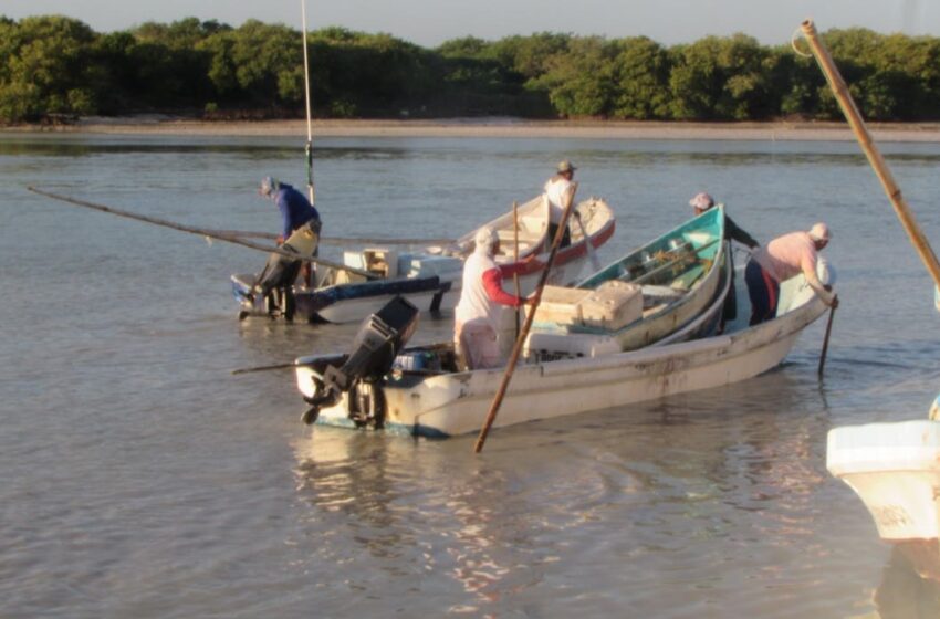  “El dragado fue una porquería”, acusan en Chuburná – El Diario de Yucatán