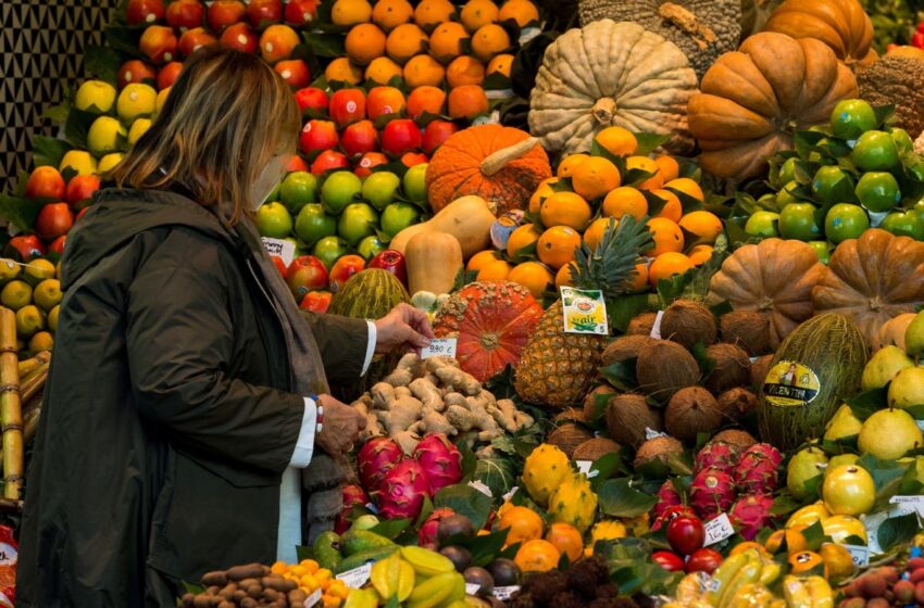  Frutas evitan el daño cognitivo – El Diario de Yucatán