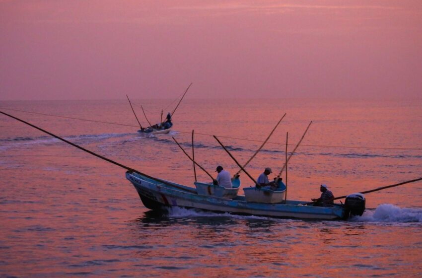  Por bajamar, mar de Campeche se aleja 400 metros de la costa – Noticieros Televisa
