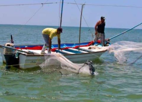  Pescadores accederían a programas del gobierno federal 2022 – Imagen de Veracruz