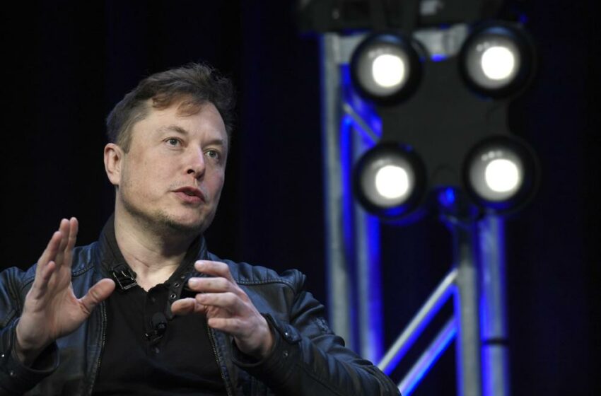  Elon Musk dice que está pensando en volverse un ‘influencer’ de tiempo completo