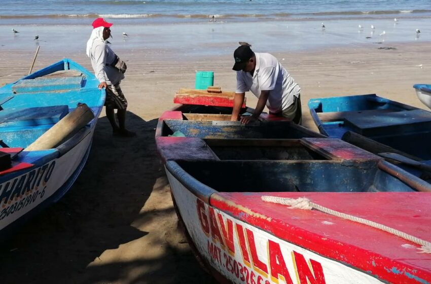  No repunta la venta de pescado en Playa Norte en Mazatlán