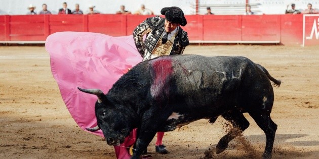  Avanza dictamen para prohibir las corridas de toros en CDMX