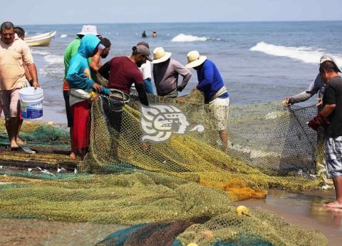  Aprovechan pescadores buen clima en Veracruz