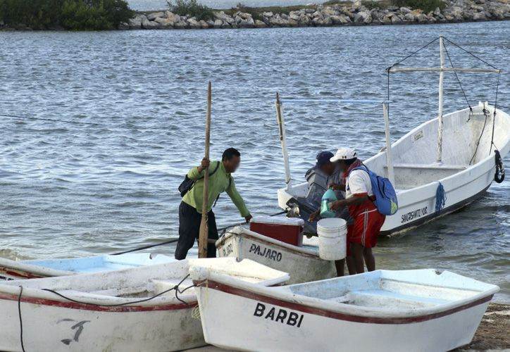  Pescadores de Yucatán alistan últimas salidas al mar para la captura del mero – Grupo SIPSE
