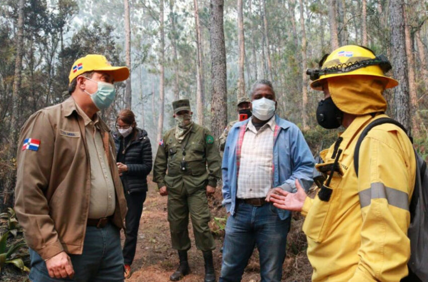  Medio Ambiente controla incendios en el Parque Nacional Sierra de Bahoruco – Proceso.com.do