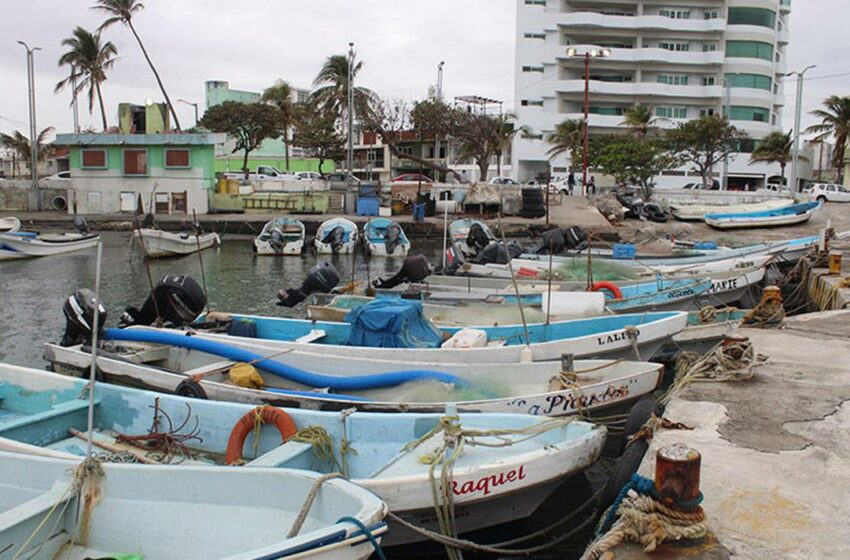  Pescadores sufren; mal tiempo y veda de especies encarece precios – Diario de Xalapa