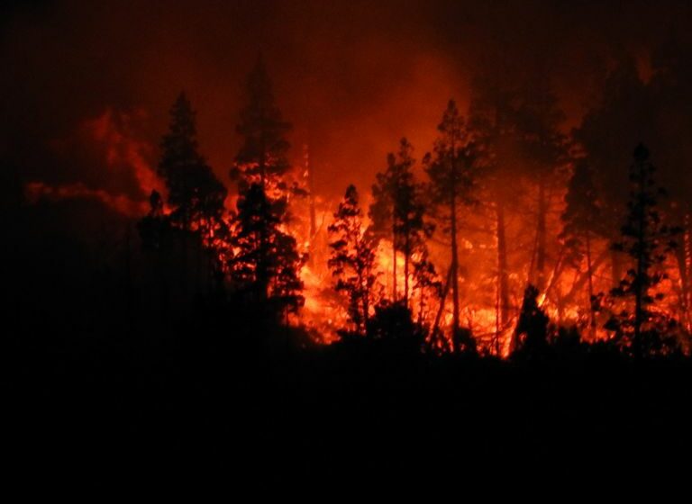  El Gobierno declara la emergencia ígnea en medio de la ola de calor y los incendios en la Patagonia