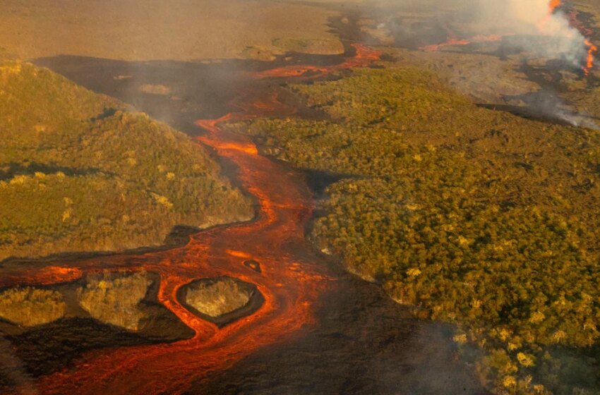  Entró en erupción un volcán en las Galápagos, islas donde habitan especies únicas