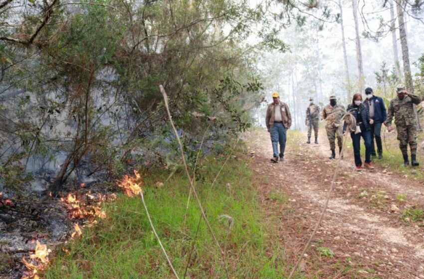  Medio Ambiente combate incendios forestales en Sierra de Bahoruco – CDN