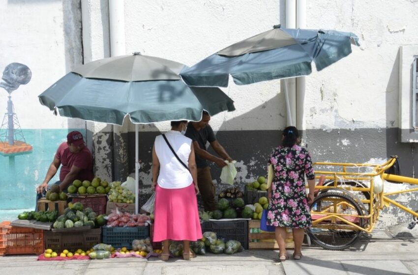  Comercio informal aumenta más del 100% en Ciudad del Carmen: Copriscam | PorEsto