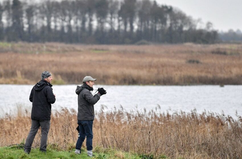  Aves amenazadas encuentran santuario en cantera inglesa – Big Fish