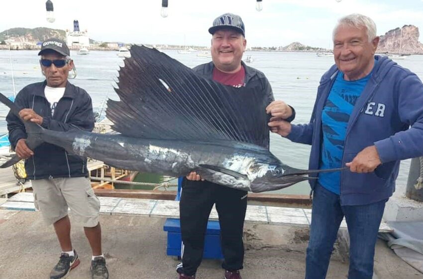  Escualo cierra 2021 con gran pesca de 'picudos' en Mazatlán – Big Fish