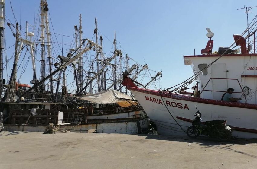  Urge poner orden en la pesca – El Sol de Mazatlán | Noticias Locales, Policiacas, sobre …