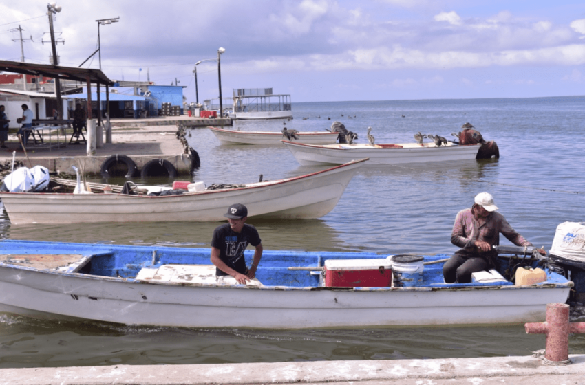  En mayo esperan pescadores de Sinaloa pago de los apoyos de Bienpesca – Debate