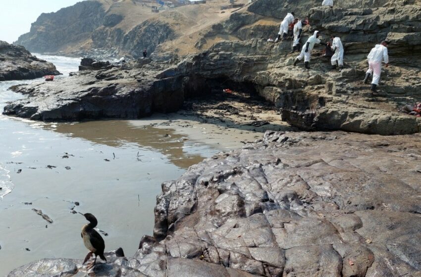  Afectados por derrame de petróleo en Perú se preguntan de qué van a vivir – Debate