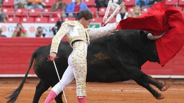  Prohiben corridas de toros en Sinaloa; se une a Sonora, Guerrero, QRoo y Coahuila