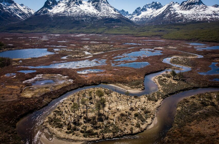  La belleza oculta de las ciénagas de Tierra del Fuego en Argentina | National Geographic