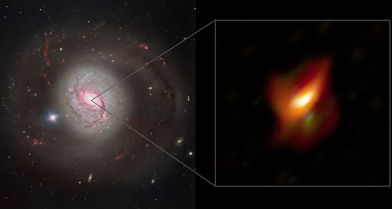  Agujero negro supermasivo oculto en un anillo de polvo cósmico