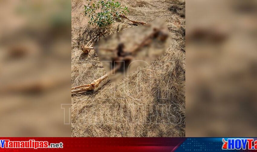  Fiscalía de Sonora solicita equipo especial para identificar restos óseos humanos – Hoy Tamaulipas