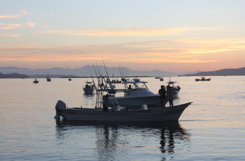  Genera pesca deportiva más de 387 mdp anuales a BC: SEPESCA – Tijuanotas
