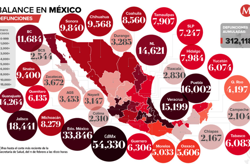  Mapa covid-19 en México: Muertes en CdMx representan el 17.4% del total en el país – Milenio