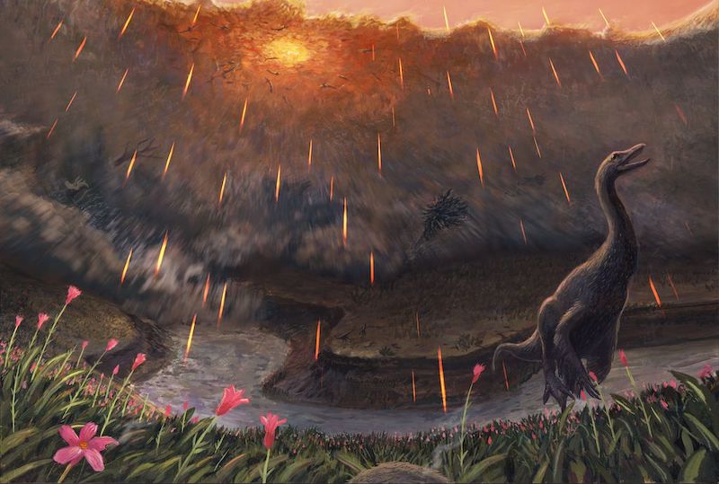  El asteroide que provocó la extinción de los dinosaurios impactó Yucatán en primavera