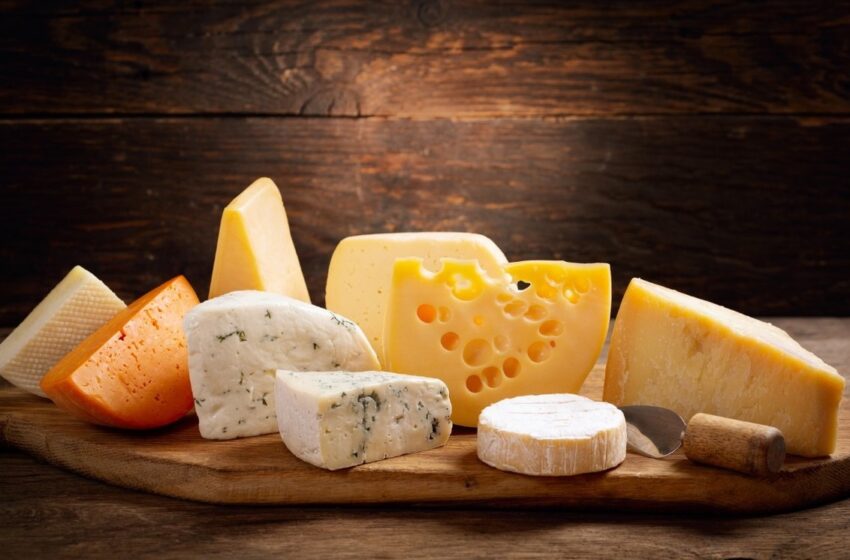  El queso es un alimento adictivo… Expertos te responden – Grupo Milenio