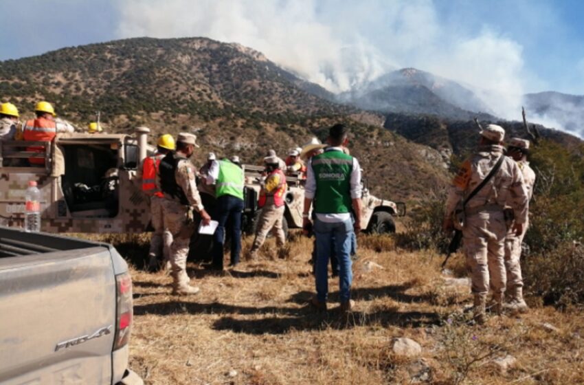  Se registra el primer incendio forestal de la temporada en Sonora – Noticieros Televisa
