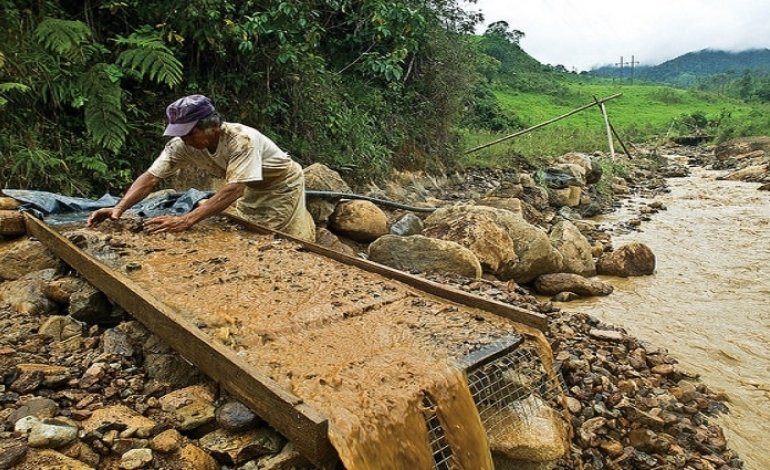  ONG denunció el daño ambiental causado por minería ilegal en zona fronteriza | Analitica.com