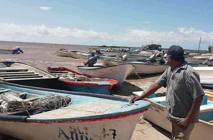 Se agrava la crisis pesquera en el sur de Sonora – Diario del Yaqui