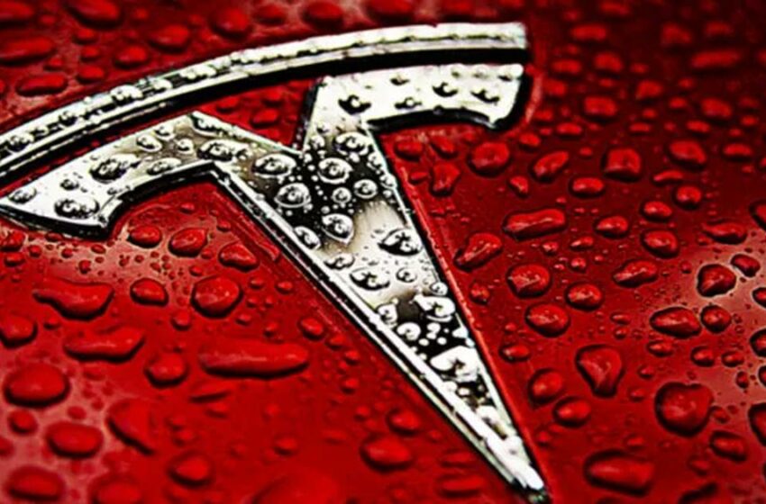  Tesla ‘engorda’ su billetera tras anuncio de segunda división de acciones en dos años