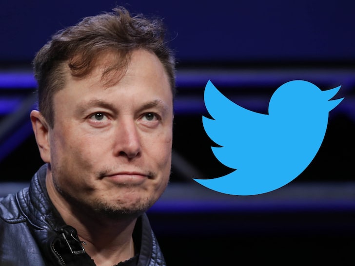  Elon Musk sugiere necesitar una nueva plataforma en lugar de Twitter, publica una encuesta