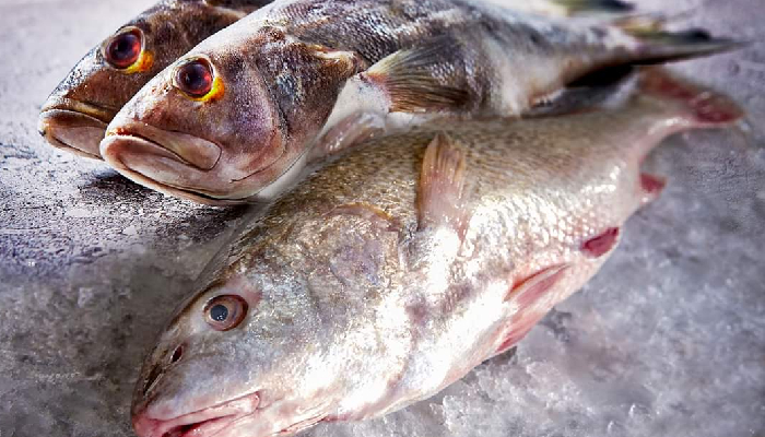  Veda afecta a pescadores de la Bahía de Tóbari – Expreso