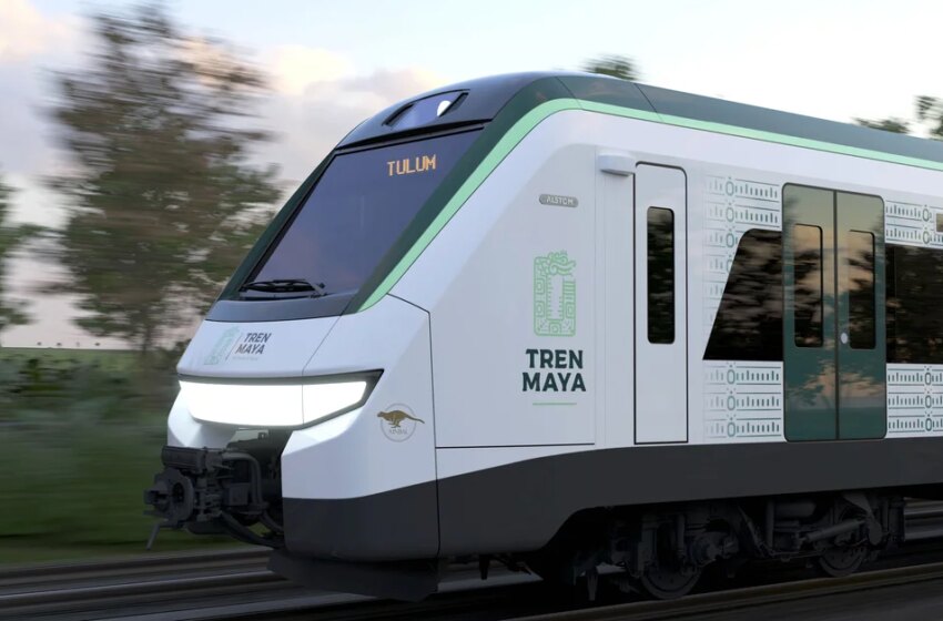  Tren Maya: el progreso a costa del medio ambiente – Infobae