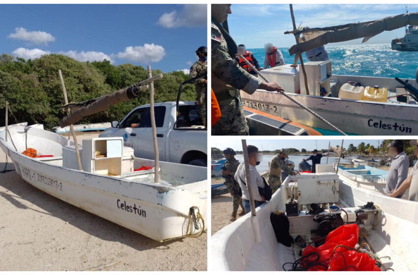  Aseguran embarcación pesquera con artes de pesca ilícita – Quadratín Yucatán
