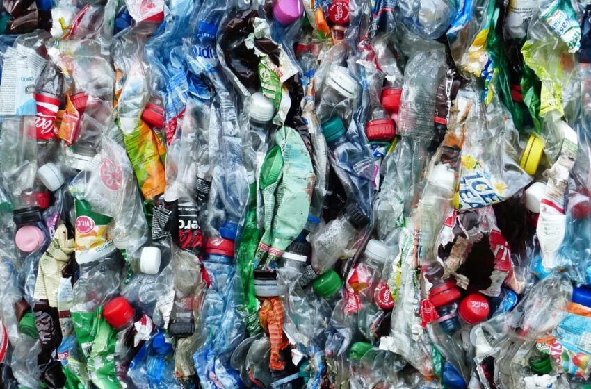  El reciclaje de envases de plástico apenas llega al 11% – Ambientum