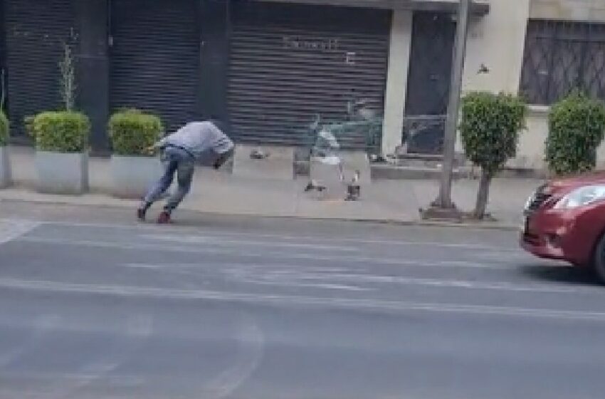  VIDEO: Hombre “pesca” palomas con una red en calles de la CdMx y confunde a usuarios