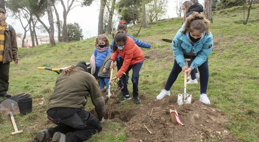  El Ayuntamiento de Segovia planta 55 árboles en la zona del Pinarillo para celebrar el Día del Árbol