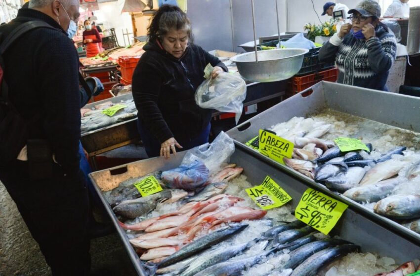  Cuaresma 2022: Pescados y mariscos suben 15% y estos son sus precios | Radio Fórmula