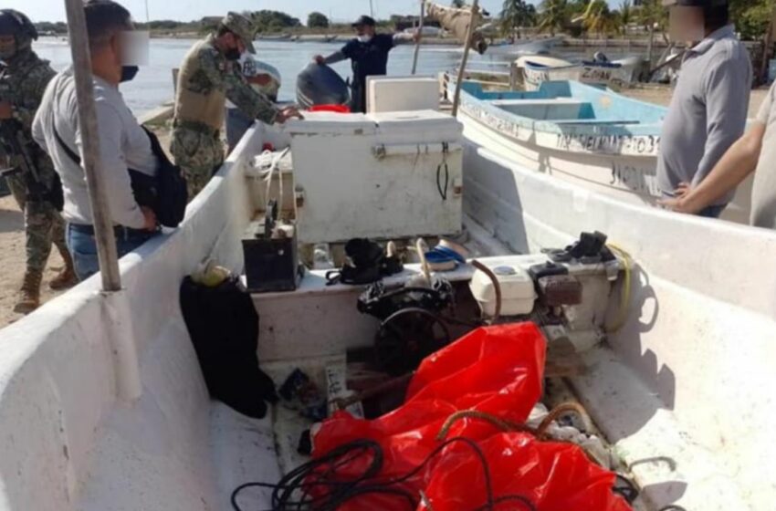  Golpe a la pesca furtiva – Diario de Yucatán