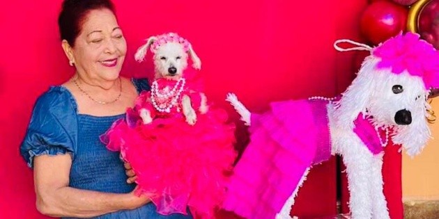  ¡Nada más faltó el vals! Abuelita celebra XV años a su perrita y se vuelve viral