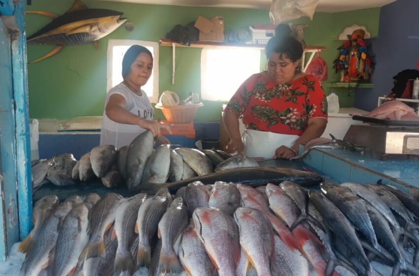  Aprovecha la Cuaresma para consumir pescados y mariscos – Punto MX