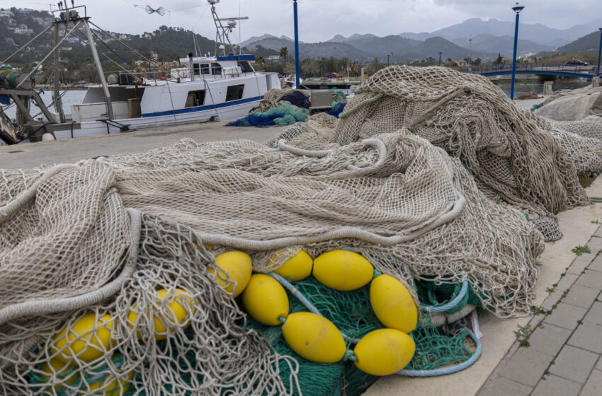  Inicia la Conapesca capacitación para pescadores de camarón – El Siglo de Torreón
