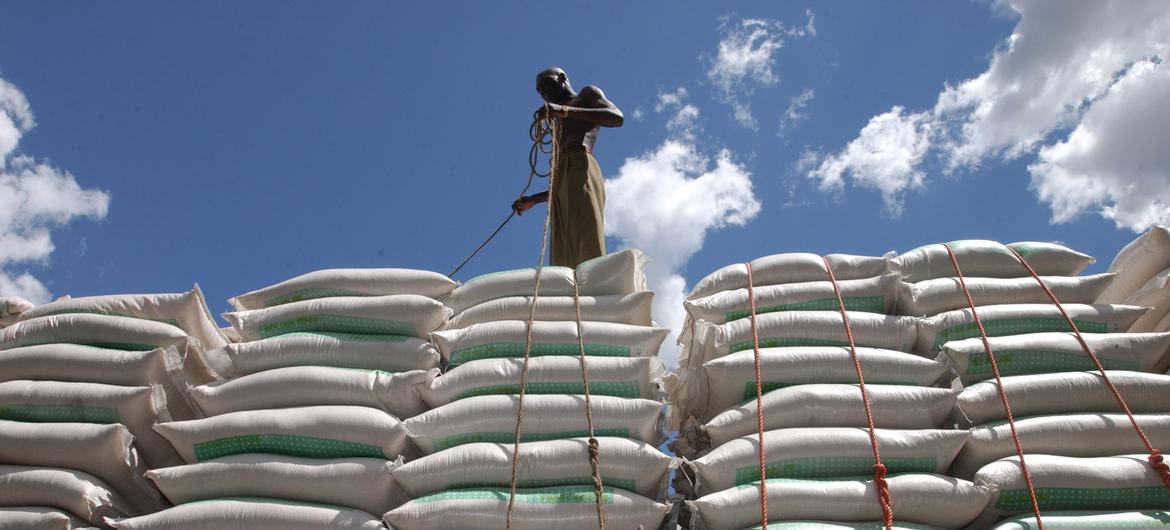 Trabajadores en el puerto de Dar Es Salaam, en Tanzania, cargan sacos de trigo en un camión.