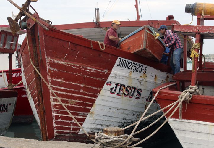  Pescadores de Yucatán regresan con barcos cargados de mero – Grupo SIPSE