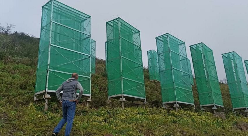  Medio Ambiente pone captanieblas en Teror y Valleseco para el riego forestal | Canarias7