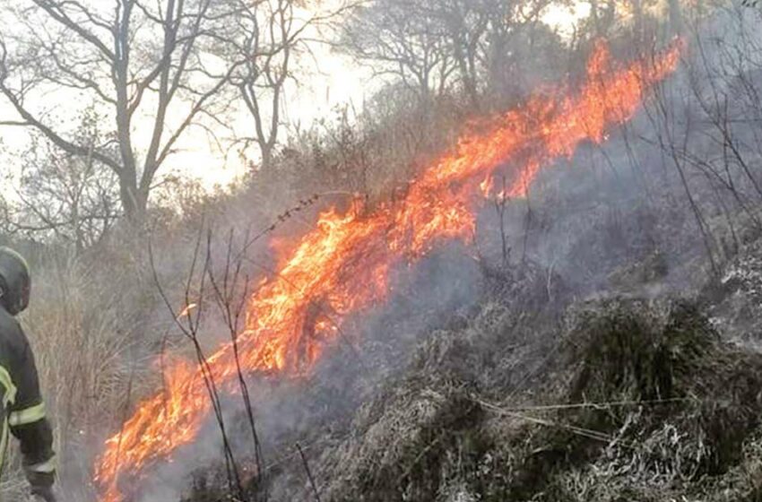  Seguirá la onda de calor en la República y continúan los incendios – Excélsior