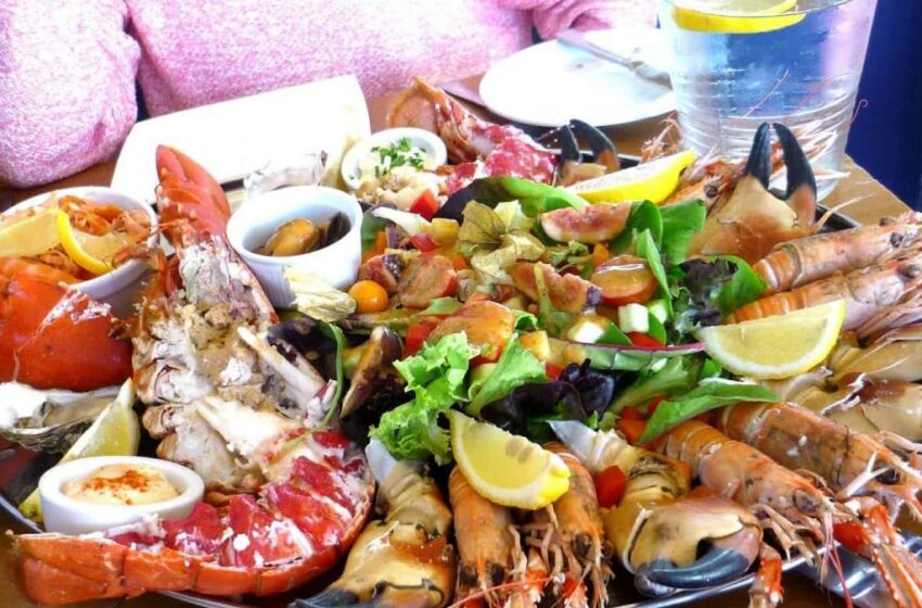  ¿Gato por liebre? Alertan por oferta falsa de mariscos – La Silla Rota